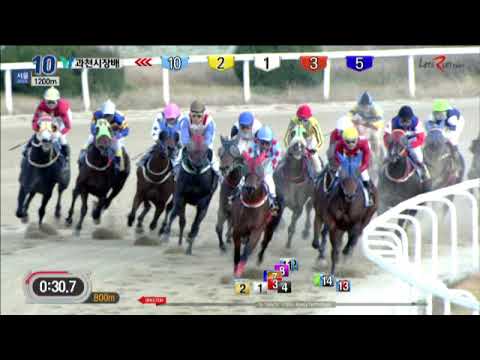 Gwacheon Mayor's Cup 2018 - Dae Wan Ma