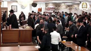 שידור חי | השיעור המרכזי מנתיבות עם מו"ר הרב ישראל אברג'ל שליט"א