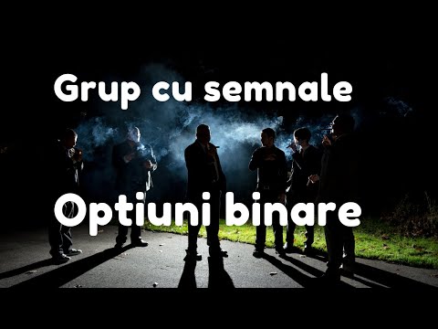 Bazele tranzacționării criptomonedelor piramida bitcoin investind cum funcționează roboți de investiţii opțiuni binare