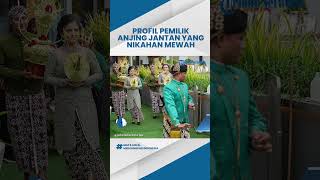 Profil Valentina Chandra Pemilik Anjing Jantan 'Jojo' Gelar Pernikahan Mewah Capai Ratusan Juta