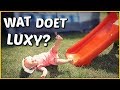 DiT DOET LUXY ALS ZE VALT! ? | Bellinga Familie Vloggers #1397