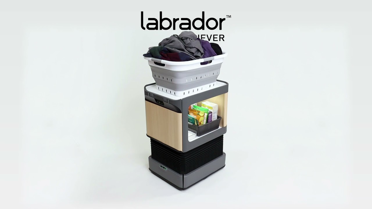 Labrador Retriever carrying a laundry basket in the manufacturer’s overview