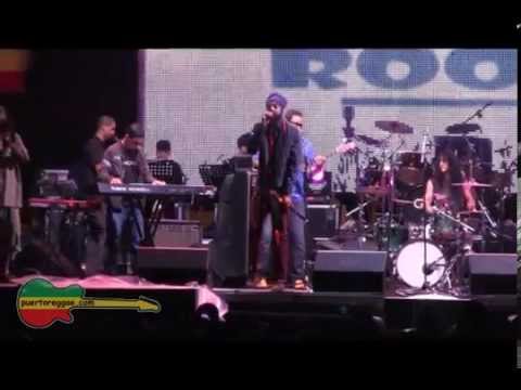 I-Majesty @ Island Roots por puertoreggae.com
