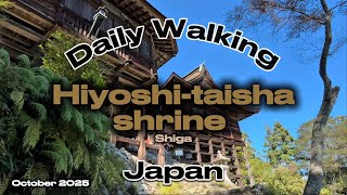 Download the video "Daily walking: Hiyoshi-taisha shrine #shigaprefecture #japan #sightseeing #shrine & #walking "