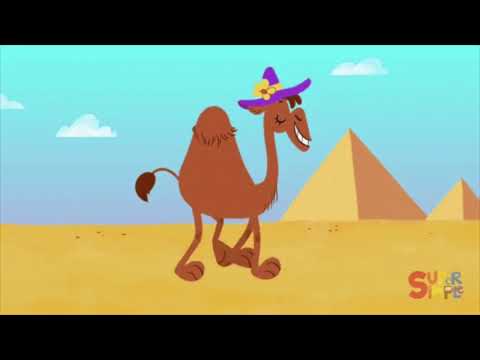 la danza della panza