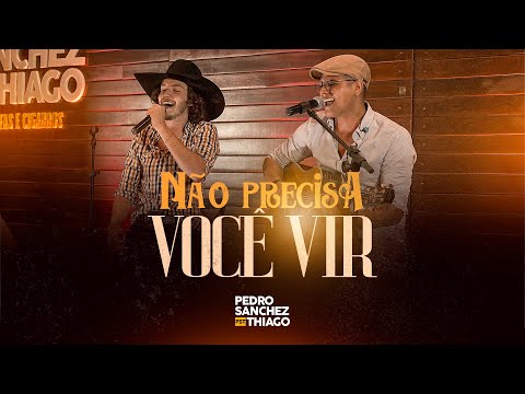 Não Precisa Você Vir - Pedro Sanchez e Thiago
