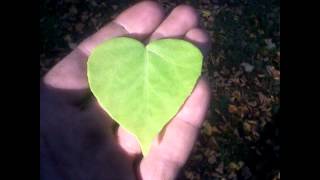 Die fantastischen Vier - Love Sucks