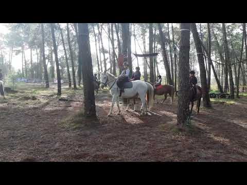 24/10/20 e jeu du "poney maudit"