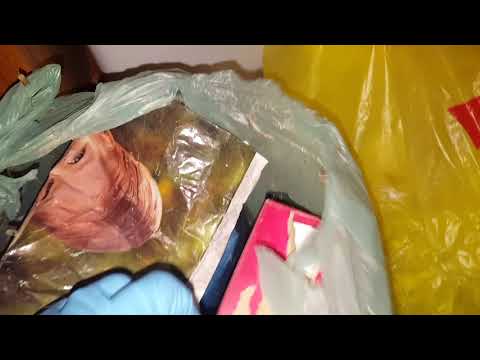 How to Prevent Indian Meal Moths in Neptune, NJ