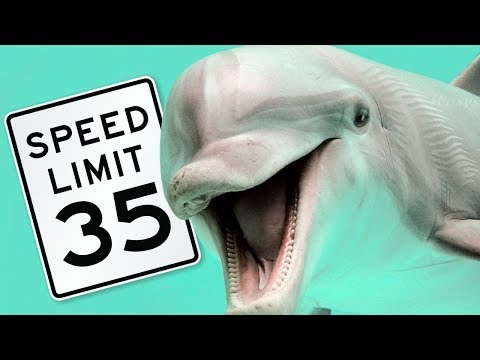 Grays's Paradox- Boundary Layer Effect (Explained)