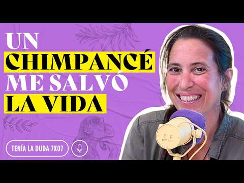 Así es RESCATAR y VIVIR con CHIMPANCÉS: 5 cosas que aprendí de ellos
