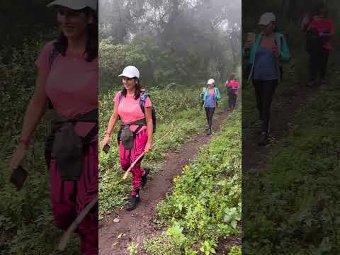 Bosque de Arrayanes. Concepción, Capayán. Catamarca. Marzo 2025 SHORT