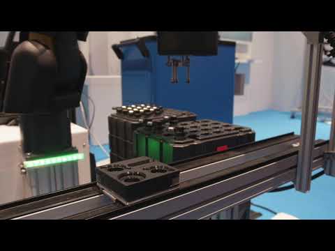 Plant Coding Marking Visual Inspection Service