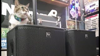 Video thumbnail for |Review| Electro-Voice ZXA1-Sub 700 Watt Active Subwoofers- by Garret Claridge
