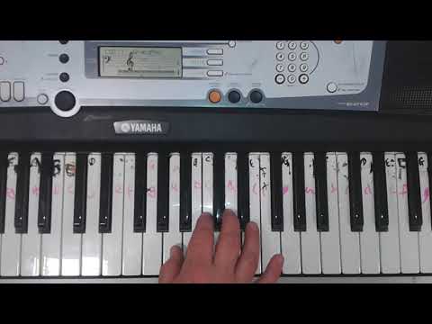 Pirates of the Caribbean - Melody