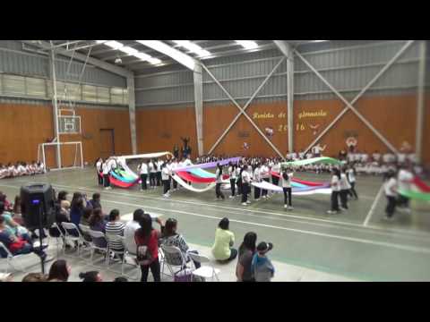 Revista de Gimnasia 6° Básico A