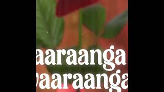 Download lagu Varisu -Ranjithame Lyrics Hd Songs | Vijay Hits | Thalapathy Vijay Hits | Vijay Tamil Songs mp3