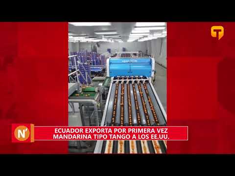 Ecuador exporta por primera vez mandarina tipo Tango a los EE.UU.
