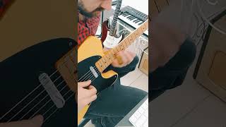 My sweet lord - George Harrison | Slide Guitar (cover) | 1 take