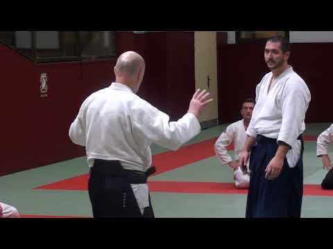 Aikido Sensei Philippe Gouttard - Studies on Yokomen Uchi