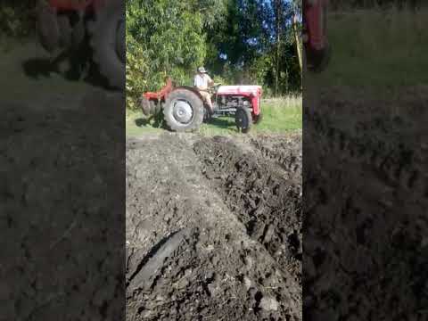 Tractor Massey Ferguson TF20