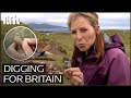 The Forgotten Kingdom Discovering The Norse Empire In Britain