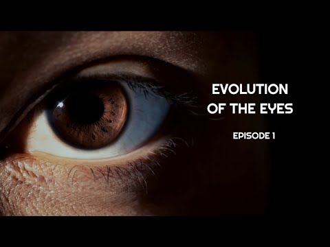 Evolution of the eyes | part 1 | Theory Of Evolution | Cosmos Episode In Hindi