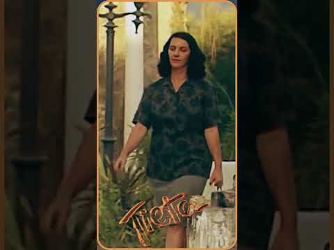 Amintas e Timóteo fazem uma aposta envolvendo a Cinira #novelas #tieta #novelasglobo