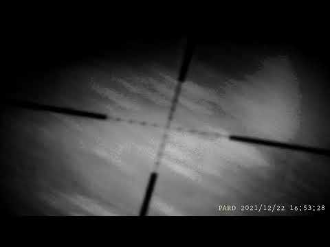 2021 1222 165142 211