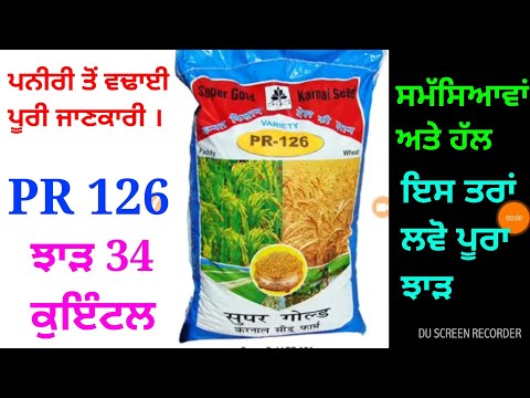 download lagu mp3 mp4 Pr126, download lagu Pr126 gratis, unduh video klip Pr126