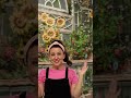 Peek A Boo With Ms Rachel And Elmo Sesamestreet