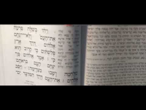 Lectura parashat Beshalaj