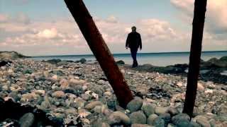 MICHAEL FALCH: LAVLAND