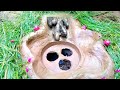 Amazing Hole Fish Trap Build By A Smart Lady In Muddy Soil