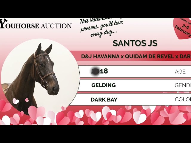 Santos D&J