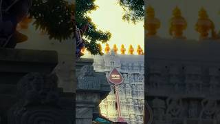 Download lagu 🦚 THIRUCHENDUR MURUGAN WHATSAPP STATUS FULL SCREEN IN TAMIL 🪷#status #murugan#trending #shorts mp3 Download lagu 🦚 THIRUCHENDUR MURUGAN WHATSAPP STATUS FULL SCREEN IN TAMIL 🪷#status #murugan#trending #shorts mp3