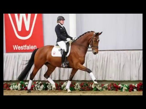 09 Vivance  Stute v. Vitalis - Douceur