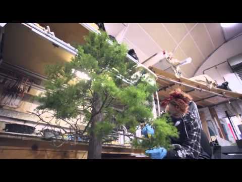 Behind the scenes - Honda Endless Road