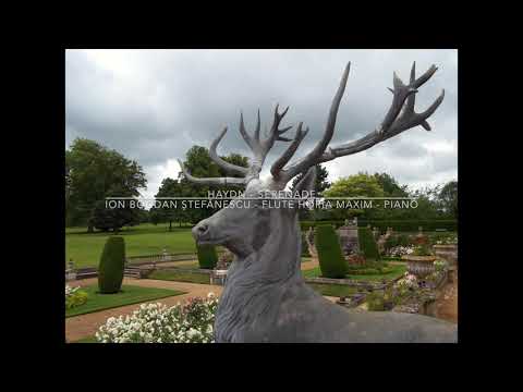 @ionbogdanstefanescu  Haydn - Serenade