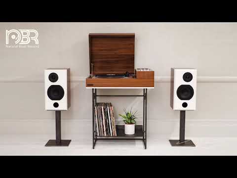 HI RES AUDIOPHILE TEST 24 BIT - ANALOGUE RECORDING -NATURAL BEAT RECORDS