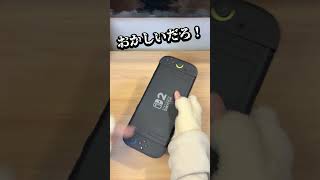 多分間違ってるやつ【Nintendo Switch2】[ないない]