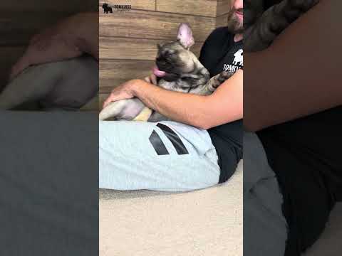 Video 2