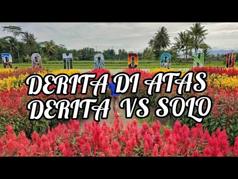 Derita di atas derita VS solo 👌👍