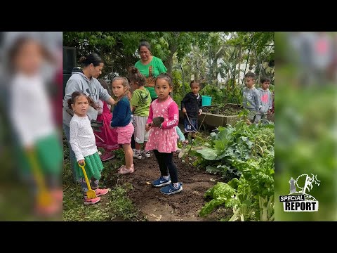 Our Moana | Climate Report: Aoga Fa'asamoa Pre-school