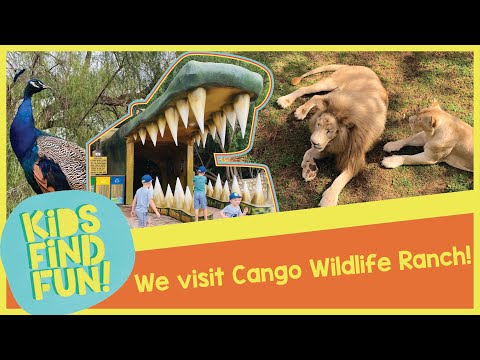Cango Wildlife Ranch – Kids Find Fun in Oudtshoorn (Episode 30)