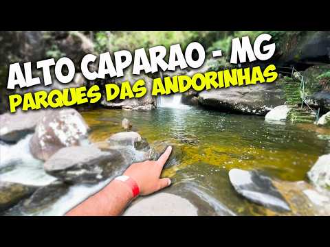 Um dos Lugares Mais Lindos de Minas! Conheça Alto Caparaó - PARQUES DAS ANDORINHAS ALTO CAPARAÓ