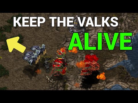 StarCraft 1: KING OF THE HILL - 815, TRUE, Scan and more! | MPL