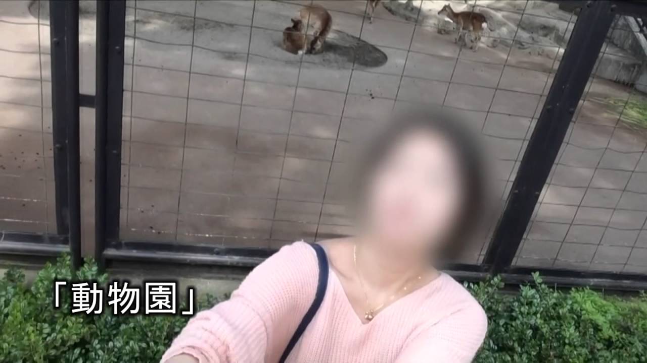 本当にあった怨霊恐怖動画18 DVD予告編