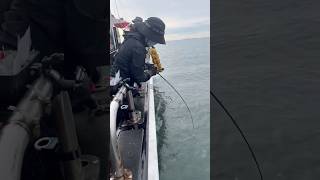 갑오징어 낚시 갔는데… 니가 왜 거기서 나와? 🐟 #갑오징어낚시 #낚시 #fishing