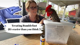 Saving my chicken’s feet from BUMBLEFOOT! | Simple Sanctuary Garden